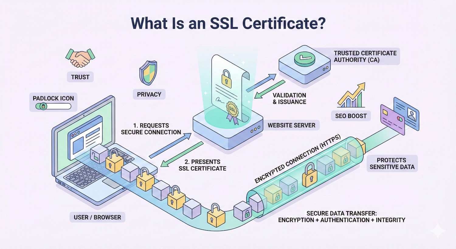 Infographic titled “What Is an SSL Certificate?” showing how a browser requests a secure connection, the server presents an SSL certificate issued by a trusted CA, and data is encrypted via HTTPS. Highlights trust, privacy, padlock icon, sensitive data protection, and SEO benefits.