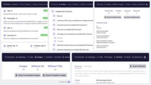 Detailed SEO Extension user interface collage displaying its primary on-page analysis tabs: Overview, Headings hierarchy, Links analysis, Images audit, and Schema markup viewer.