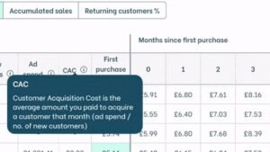 Nozzle analytics dashboard cohort table showing Accumulated Sales, Returning Customers percentage, and an active tooltip defining Customer Acquisition Cost (CAC).