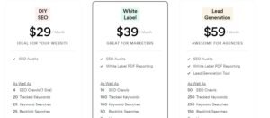 SEOptimer pricing comparison matrix displaying three subscription plans: DIY SEO at $29/month, White Label at $39/month, and Lead Generation at $59/month with detailed feature allocations.