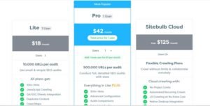 Sitebulb subscription pricing cards comparing Lite at $18/mo, Pro at $42/mo with 'Most Popular' badge, and Sitebulb Cloud starting from $125/mo.