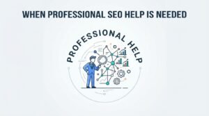 Infographic titled 'When Professional SEO Help Is Needed' illustrating a professional business consultant examining a complex data network, analytics charts, and optimization gears with a magnifying glass.